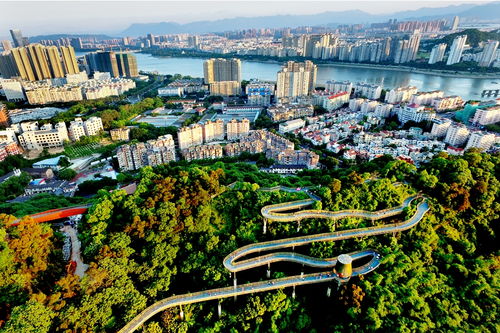 新聞頻道_福州新聞網(wǎng)